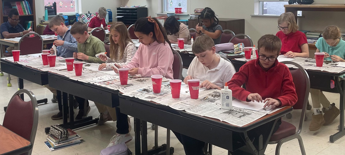 Owl Pellet Investigation